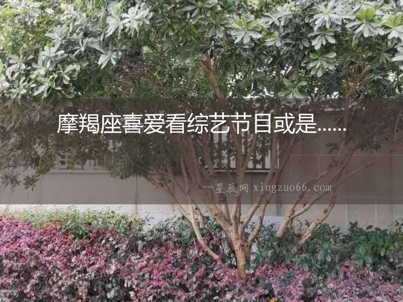 摩羯座喜愛看綜藝節目或是......