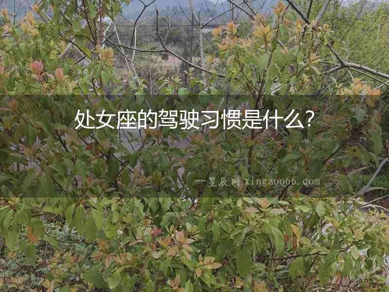 處女座的駕駛習慣是什么？