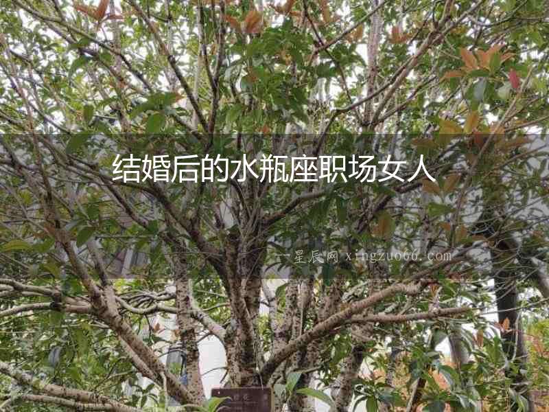 結(jié)婚后的水瓶座職場女人