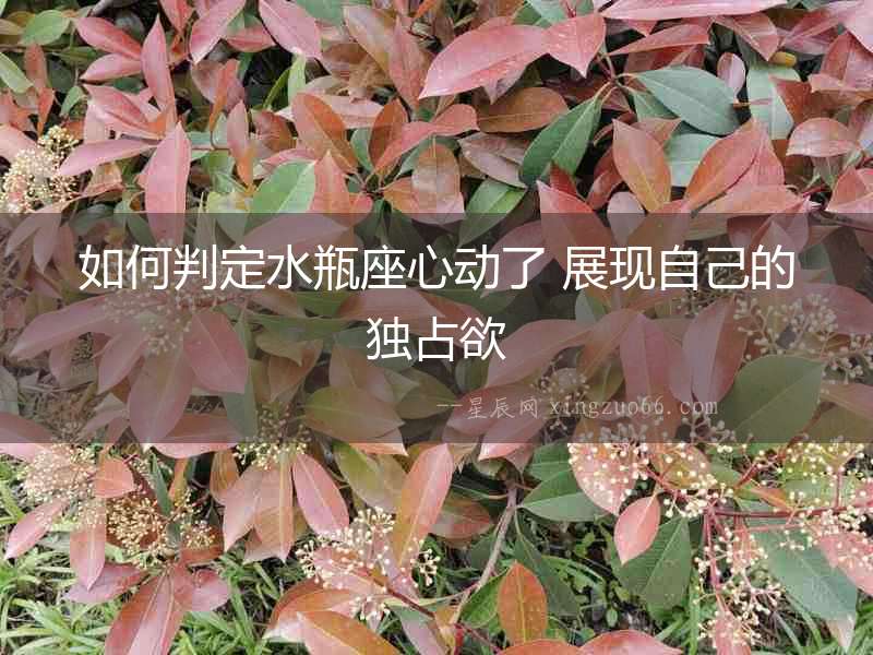 如何判定水瓶座心動了 展現(xiàn)自己的獨占欲