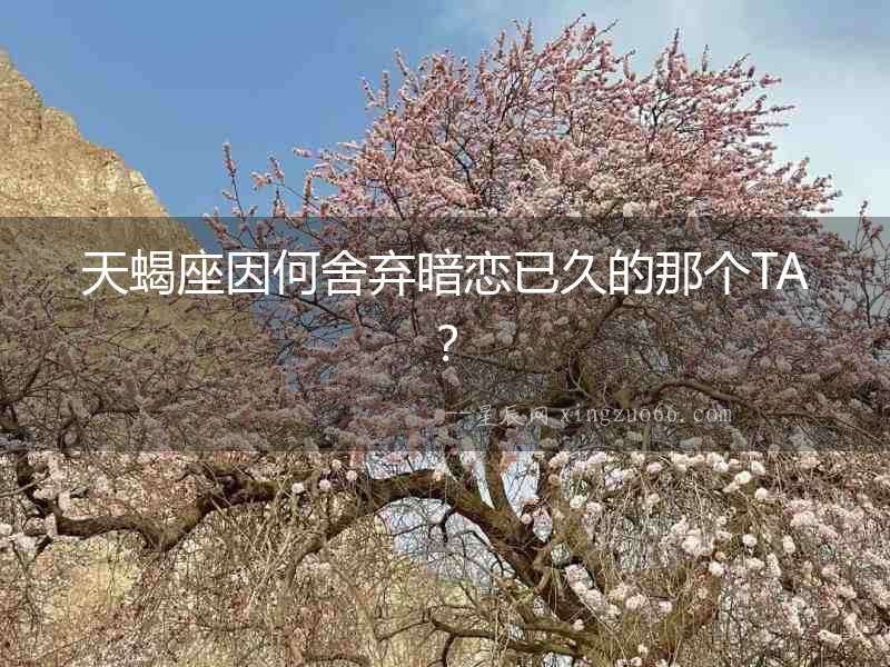 天蝎座因何舍棄暗戀已久的那個(gè)TA？