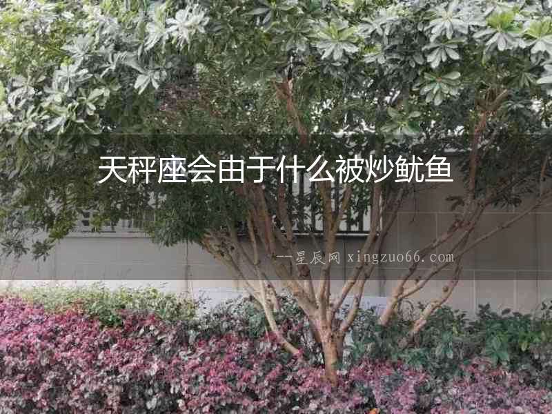 天秤座會由于什么被炒魷魚