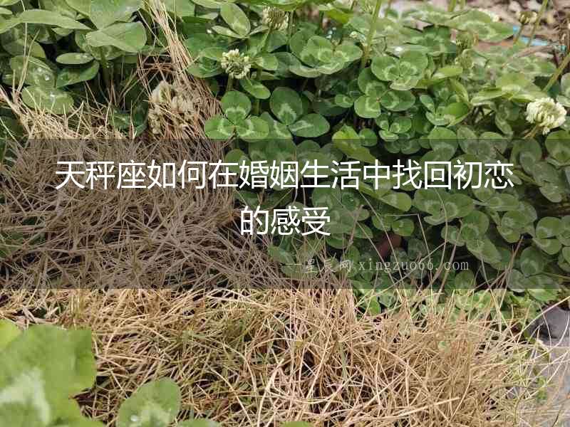 天秤座如何在婚姻生活中找回初戀的感受