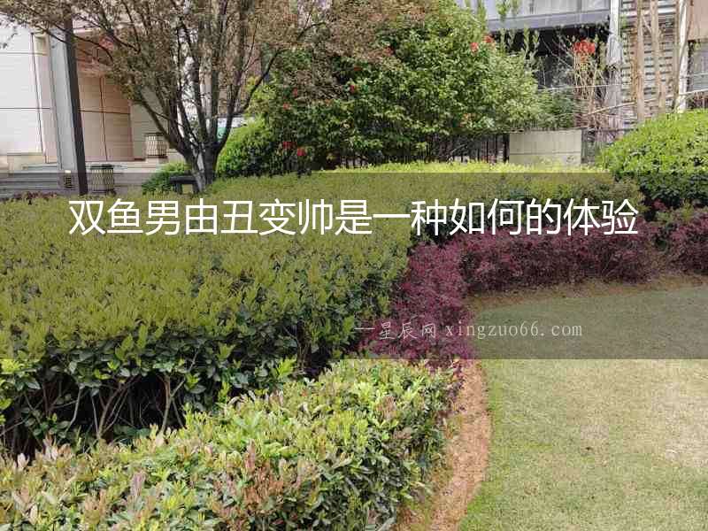 雙魚男由丑變帥是一種如何的體驗