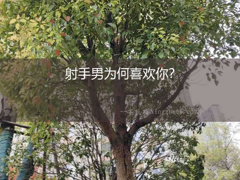 射手男為何喜歡你？