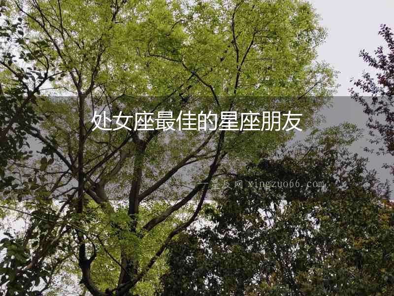 處女座最佳的星座朋友