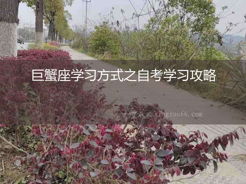 巨蟹座學(xué)習(xí)方式之自考學(xué)習(xí)攻略
