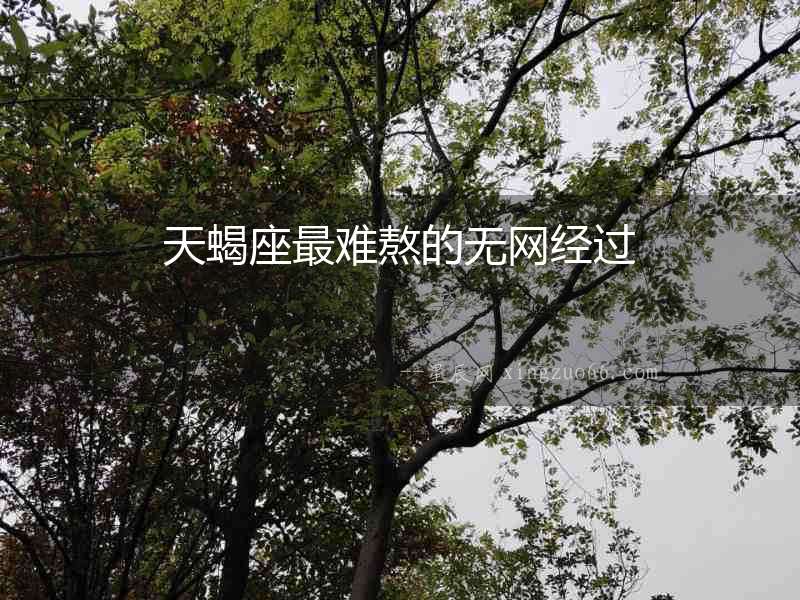 天蝎座最難熬的無網經過
