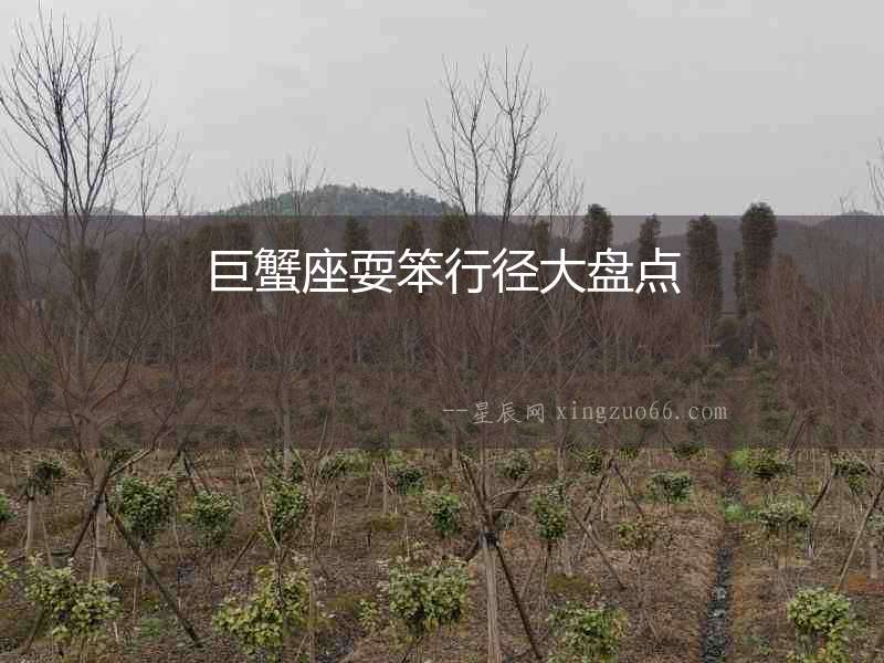 巨蟹座耍笨行徑大盤點