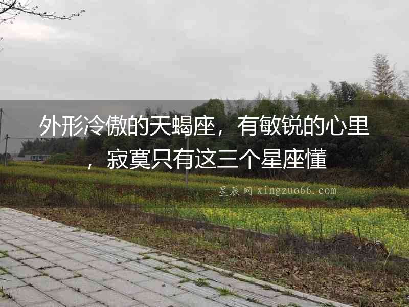 外形冷傲的天蝎座，有敏銳的心里，寂寞只有這三個星座懂