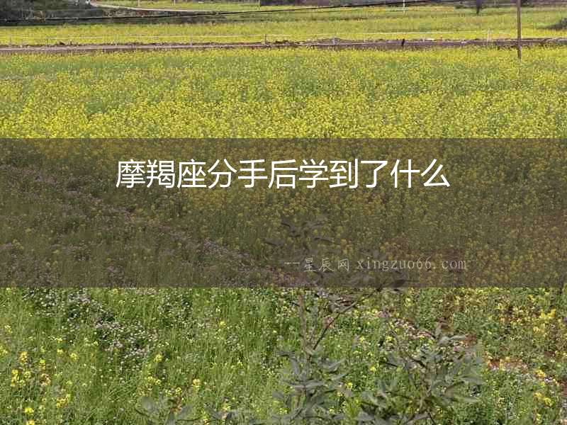摩羯座分手后學(xué)到了什么