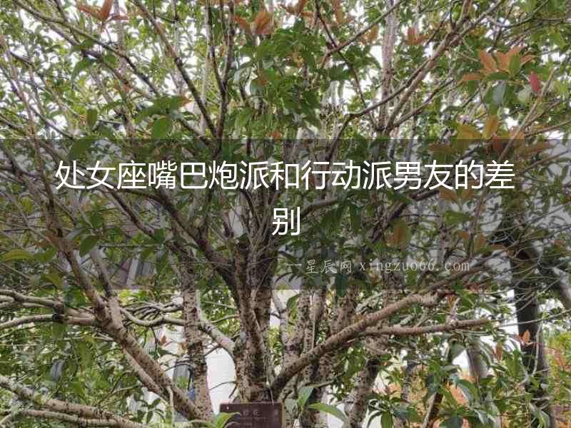 處女座嘴巴炮派和行動派男友的差別