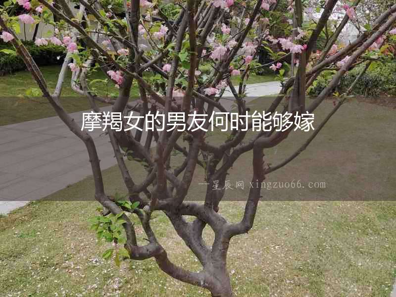 摩羯女的男友何時(shí)能夠嫁