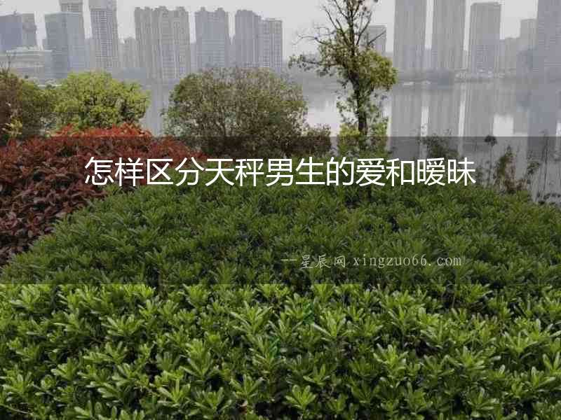 怎樣區(qū)分天秤男生的愛(ài)和曖昧