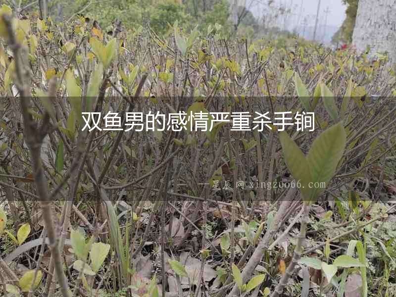 雙魚男的感情嚴重殺手锏