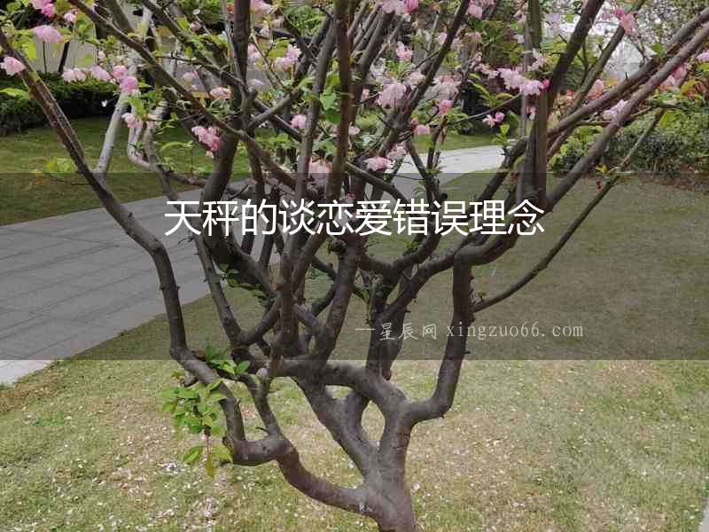 天秤的談戀愛錯誤理念