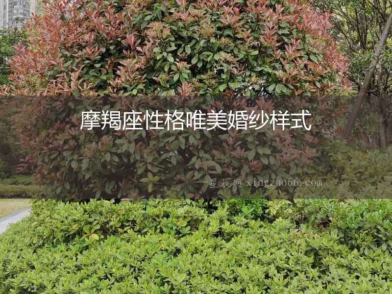 摩羯座性格唯美婚紗樣式