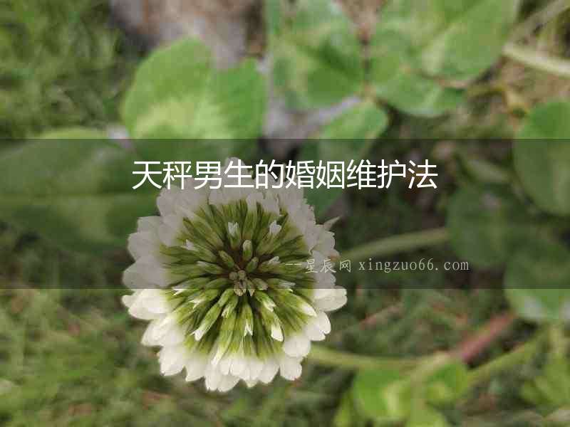 天秤男生的婚姻維護法