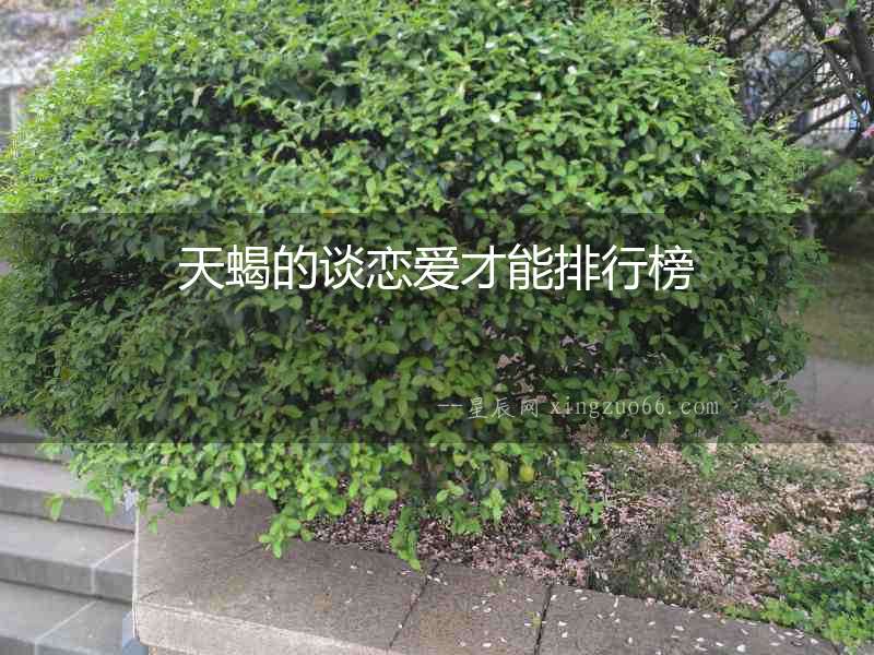 天蝎的談戀愛(ài)才能排行榜