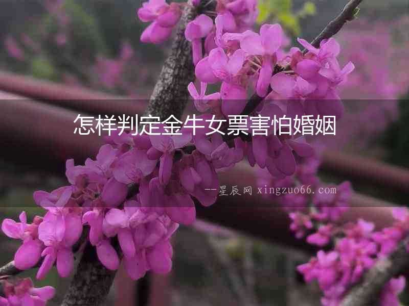 怎樣判定金牛女票害怕婚姻