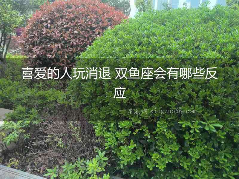 喜愛(ài)的人玩消退 雙魚(yú)座會(huì)有哪些反應(yīng)
