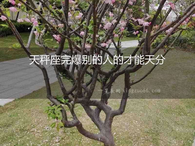天秤座完爆別的人的才能天分