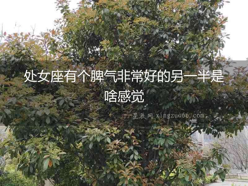 處女座有個脾氣非常好的另一半是啥感覺
