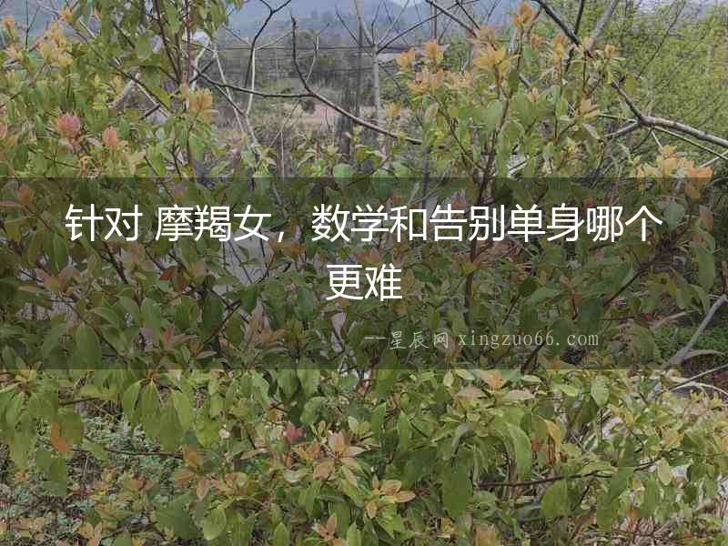 針對 摩羯女，數學和告別單身哪個更難