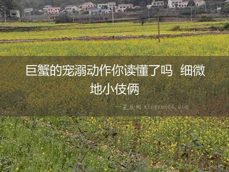 巨蟹的寵溺動作你讀懂了嗎  細微地小伎倆