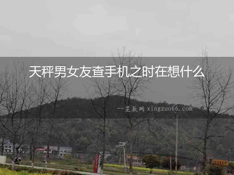 天秤男女友查手機之時在想什么