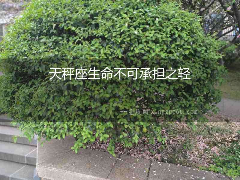 天秤座生命不可承擔之輕