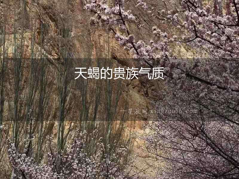 天蝎的貴族氣質(zhì)