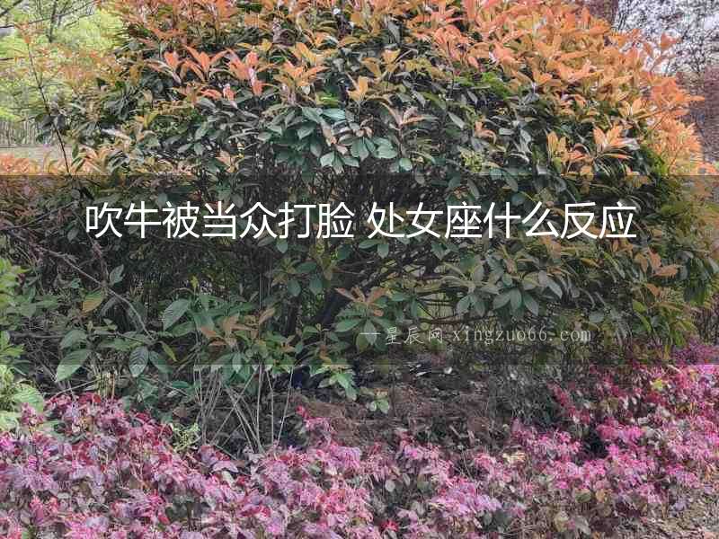 吹牛被當(dāng)眾打臉 處女座什么反應(yīng)