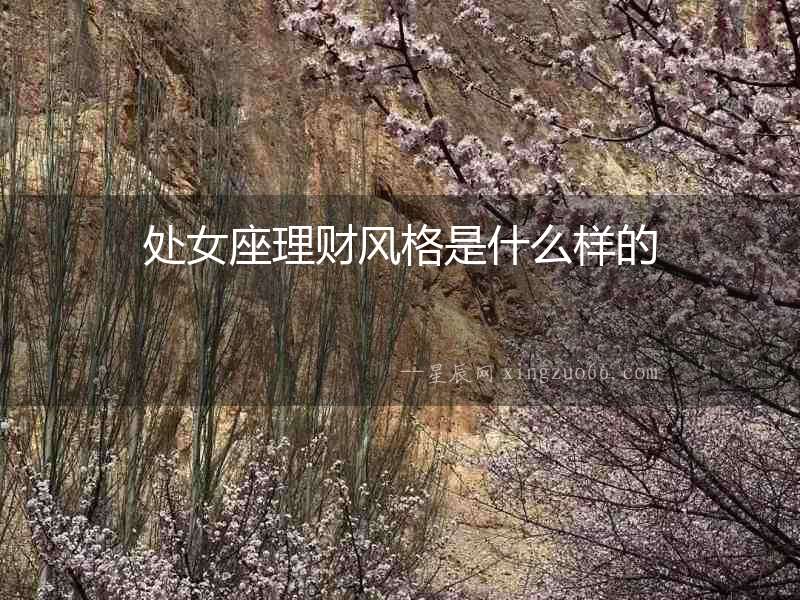 處女座理財風格是什么樣的