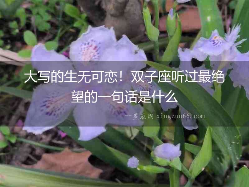 大寫的生無可戀！雙子座聽過最絕望的一句話是什么