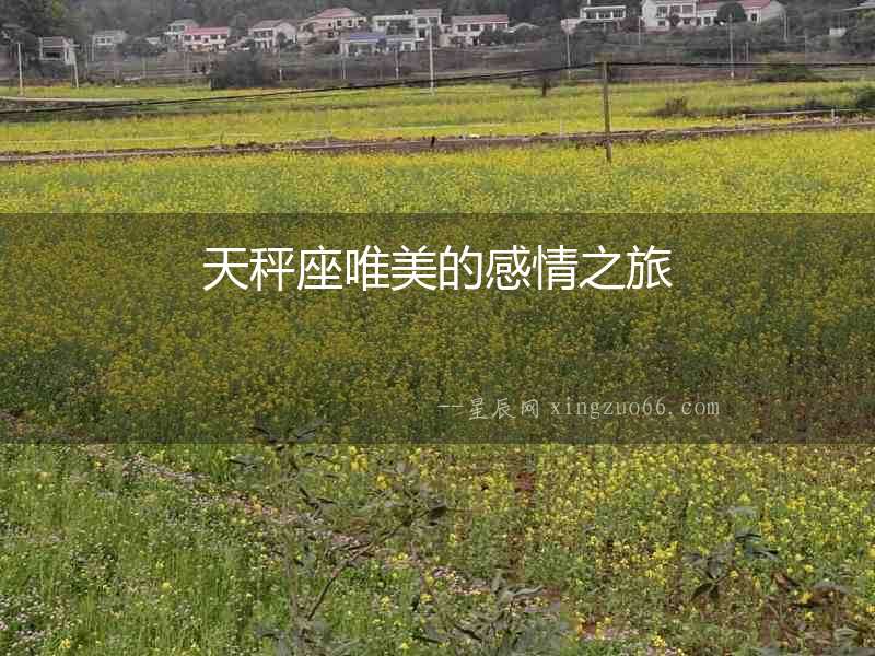 天秤座唯美的感情之旅