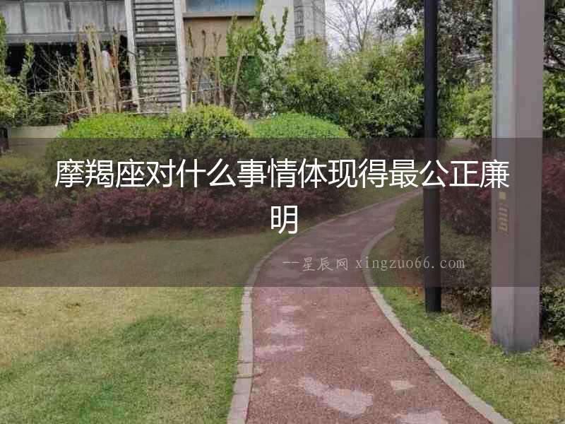 摩羯座對什么事情體現(xiàn)得最公正廉明