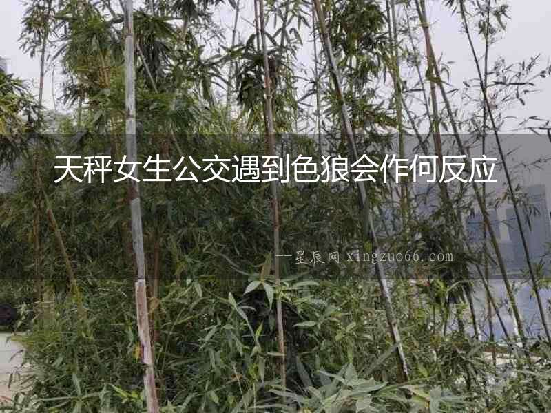 天秤女生公交遇到色狼會作何反應