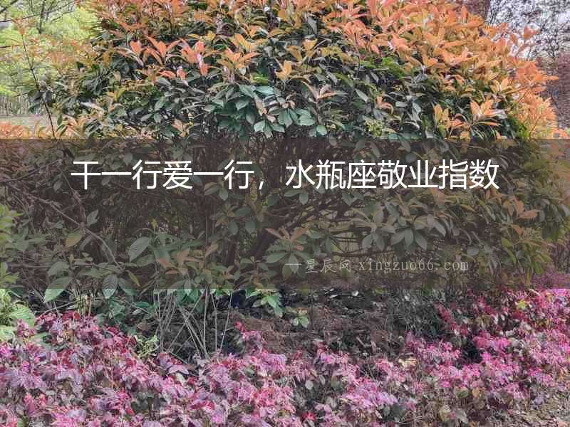 干一行愛一行，水瓶座敬業指數