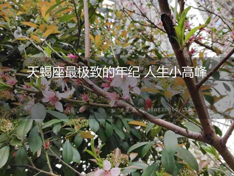 天蝎座最極致的年紀(jì) 人生小高峰