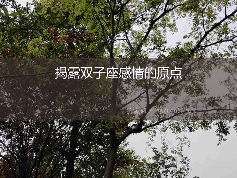 揭露雙子座感情的原點(diǎn)