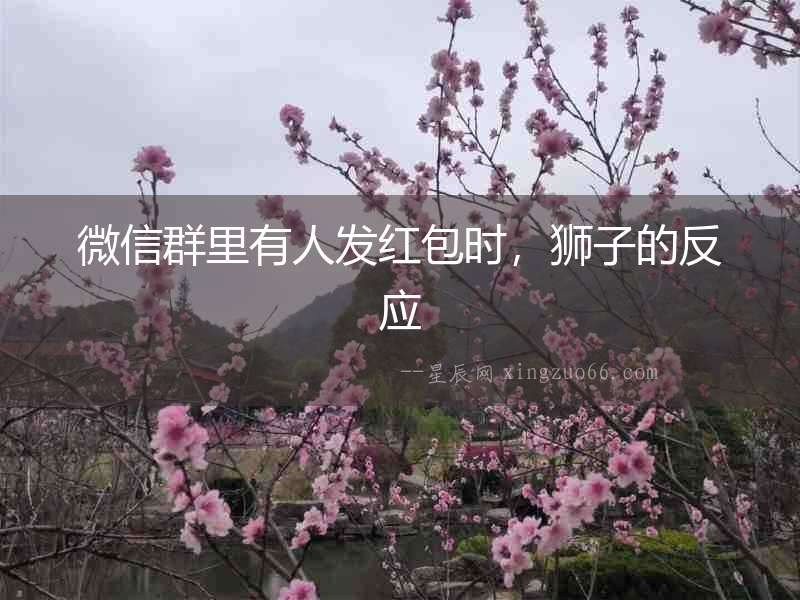 微信群里有人發(fā)紅包時(shí)，獅子的反應(yīng)