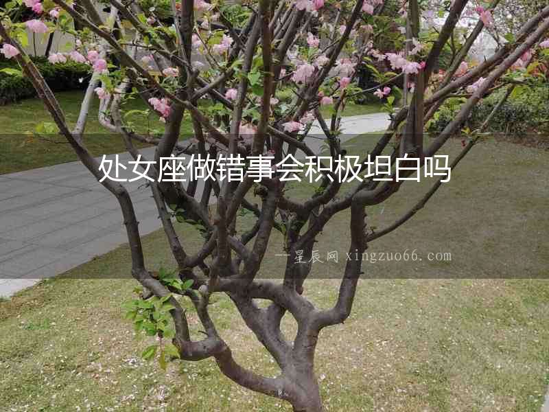 處女座做錯事會積極坦白嗎