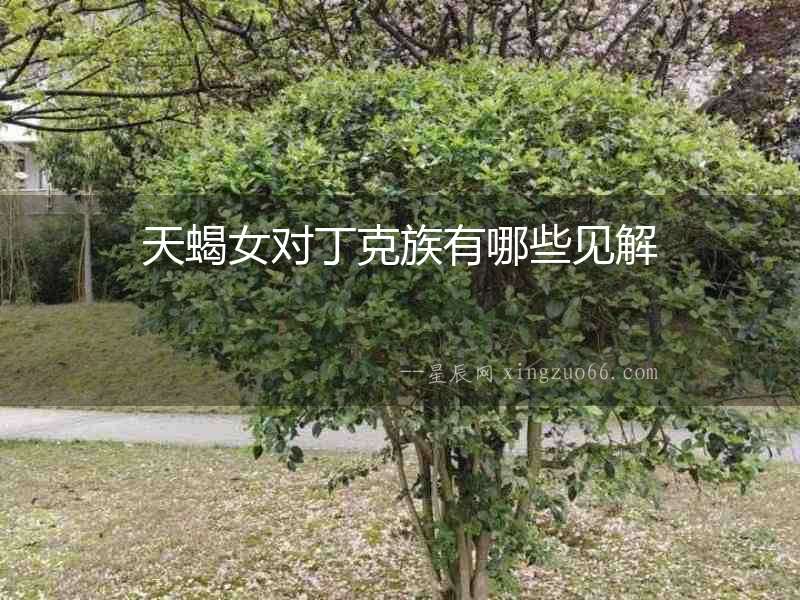 天蝎女對(duì)丁克族有哪些見解