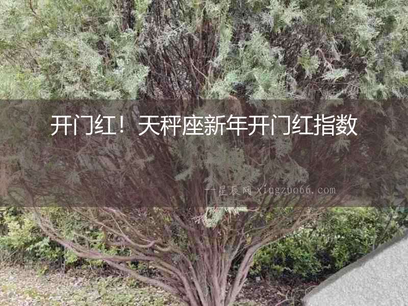 開門紅！天秤座新年開門紅指數