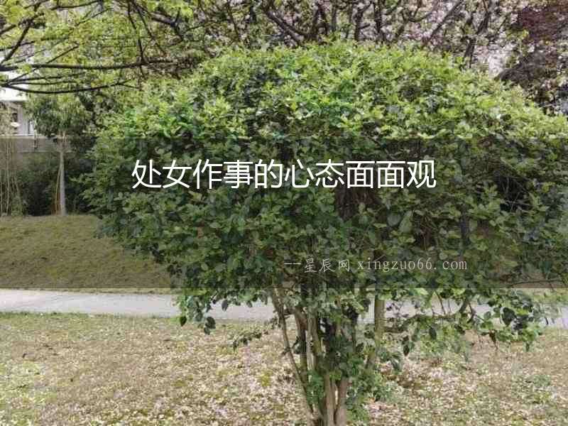 處女作事的心態面面觀