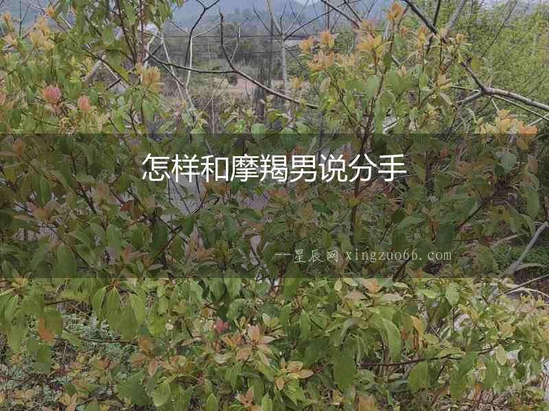 怎樣和摩羯男說(shuō)分手