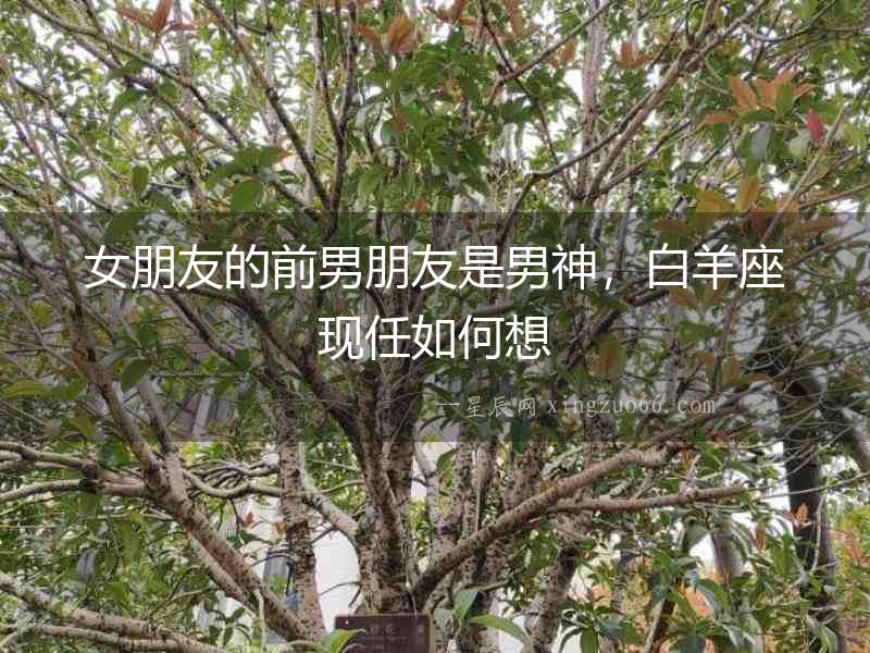 女朋友的前男朋友是男神，白羊座現(xiàn)任如何想