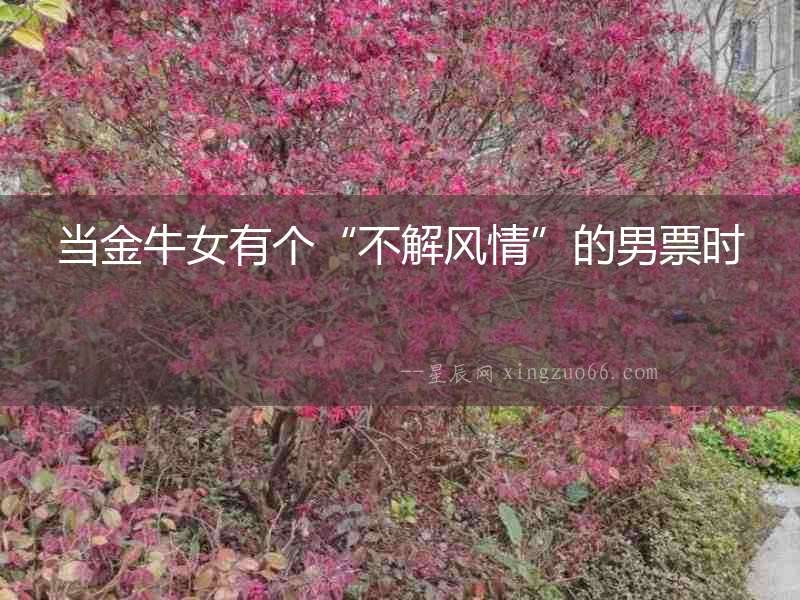 當(dāng)金牛女有個(gè)“不解風(fēng)情”的男票時(shí)