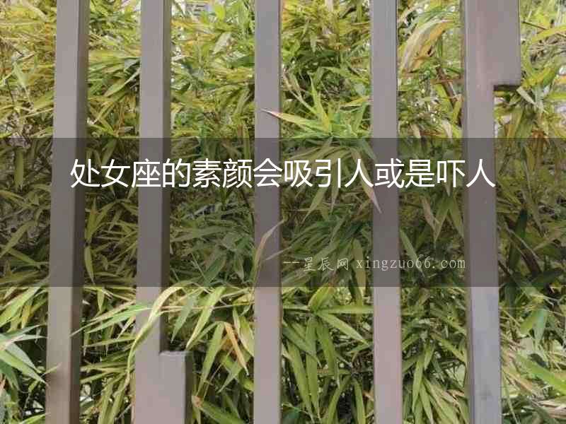 處女座的素顏會吸引人或是嚇人